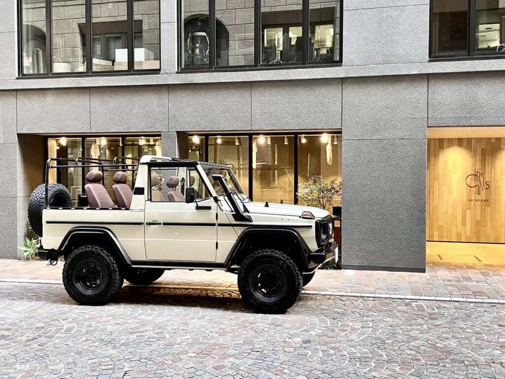 Mercedes-Benz_250GD_Wolf_autodiect_001
