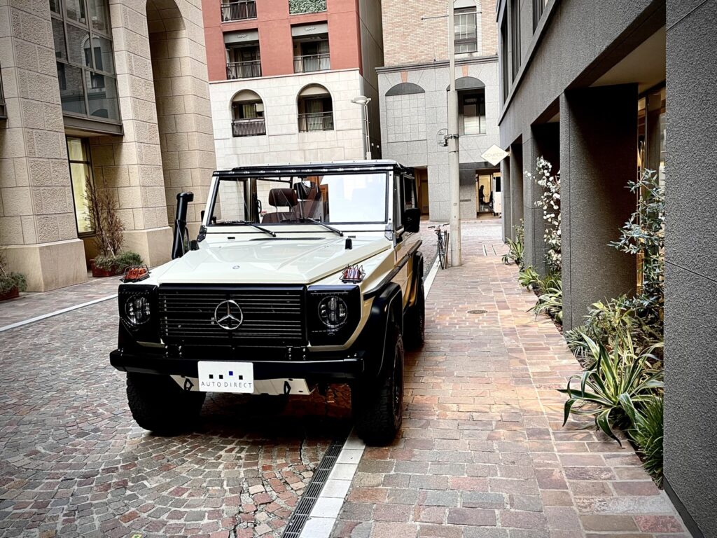 Mercedes-Benz_250GD_Wolf_autodiect_015