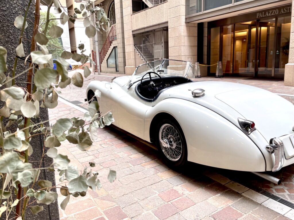 jaguar_XK120_Roadster_AUTODIRECT_009