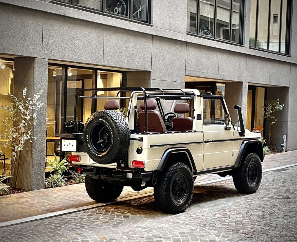Mercedes-Benz_250GD_Wolf_autodiect_014